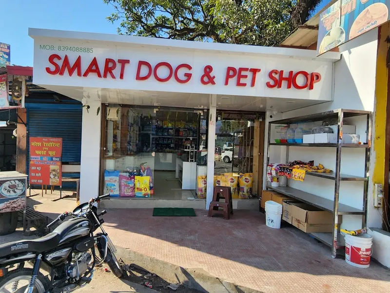 Smart dog and pet shop-dehradun pet shop-best pet shop in dehradun-puppies in dehradun