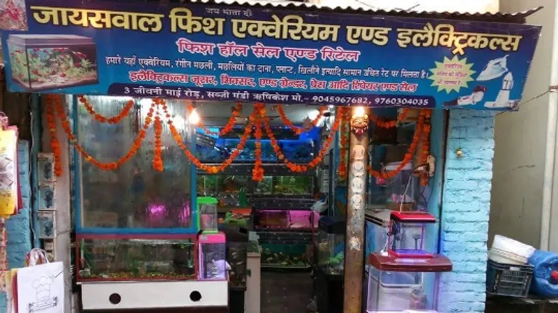 Jaiswal Fish Aquarium Wholesale And Retail