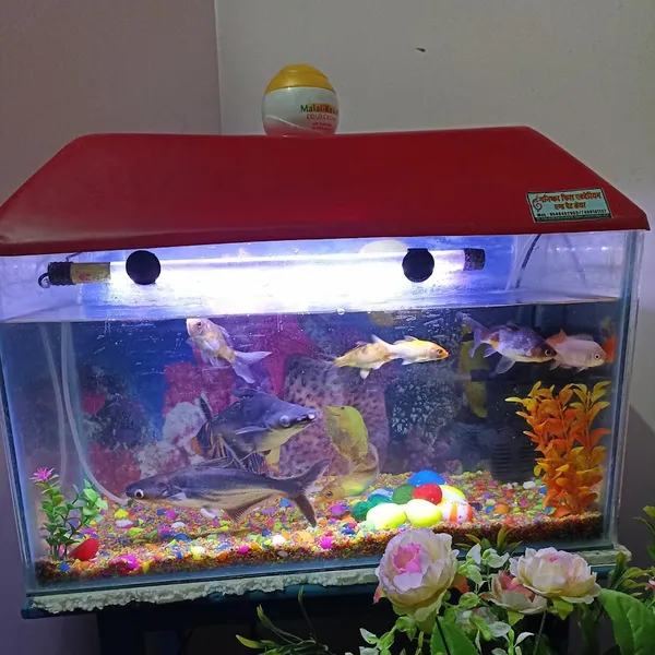 Ganishka Fish Aquarium & Pet Care Shop