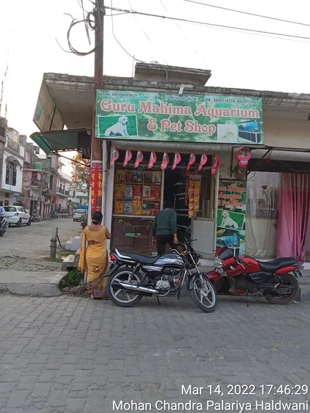 Guru Mahima Aquarium And Pet Shop