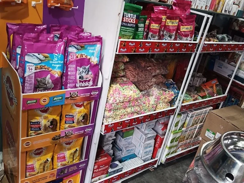 Tom And Jerry Pet Shop