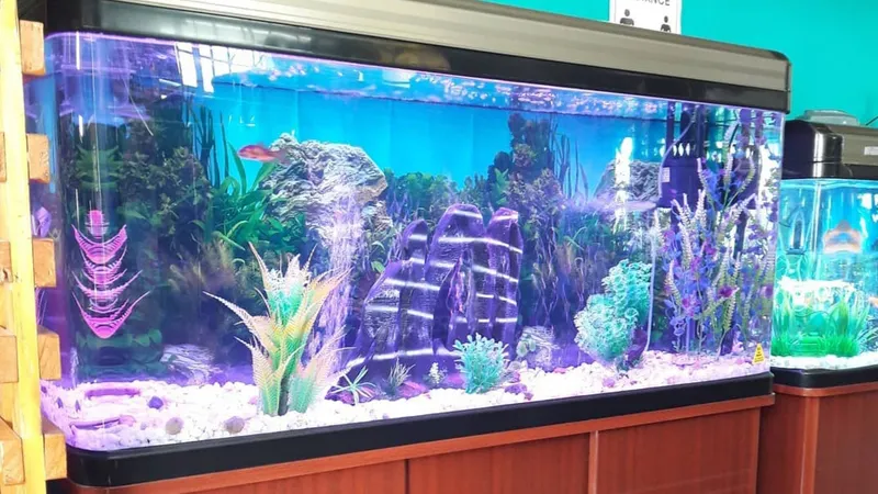 Aquarium Mart