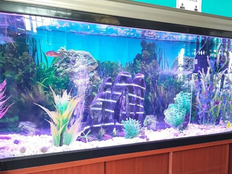 Aquarium Mart