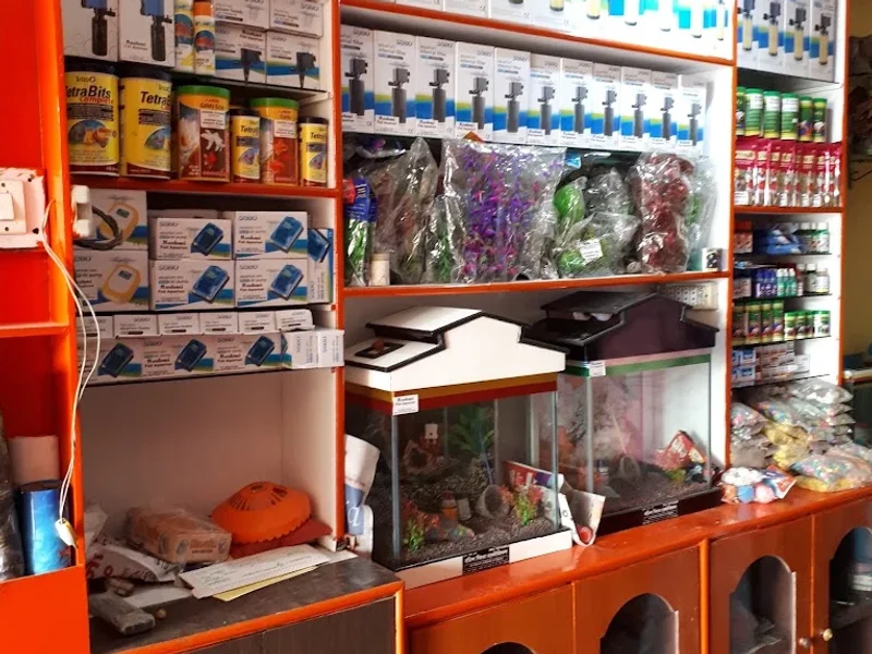 Rashmi Fish Aquarium
