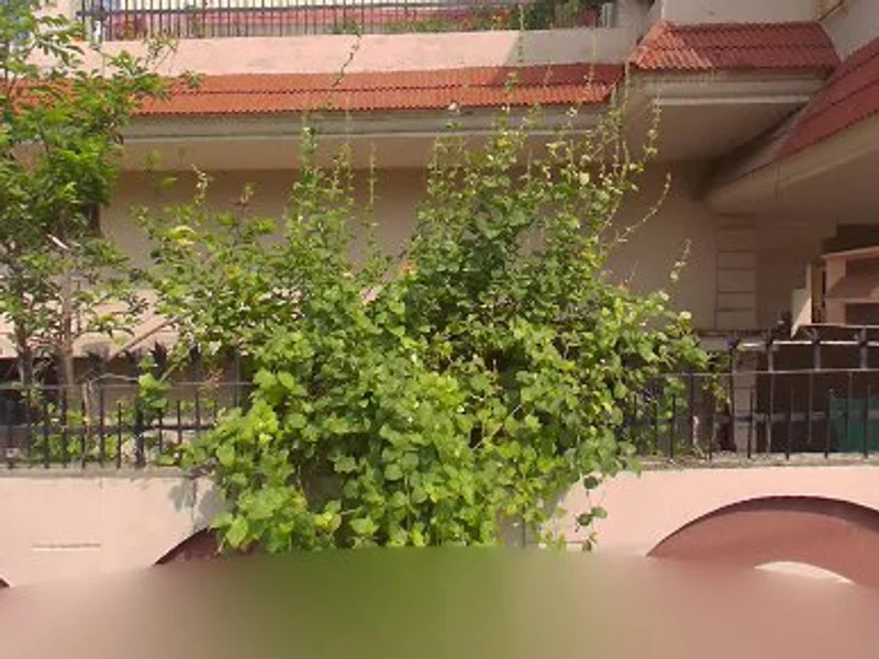 Bharat Book Depot (Wholesale Office)