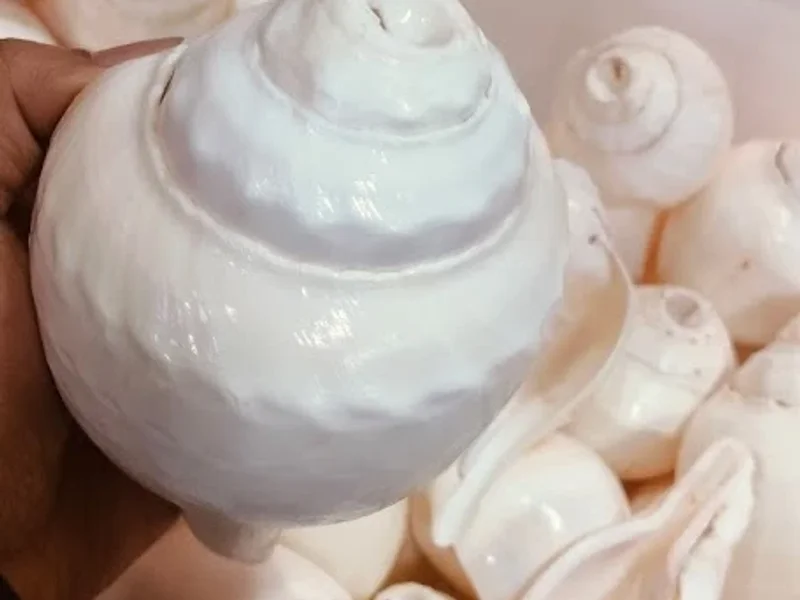 Shriji Rudraksh Bhandar