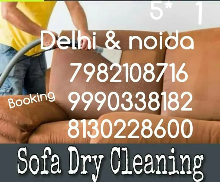 Professional sofa cleaning services