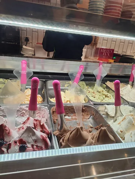 Frozen Fun Gelato