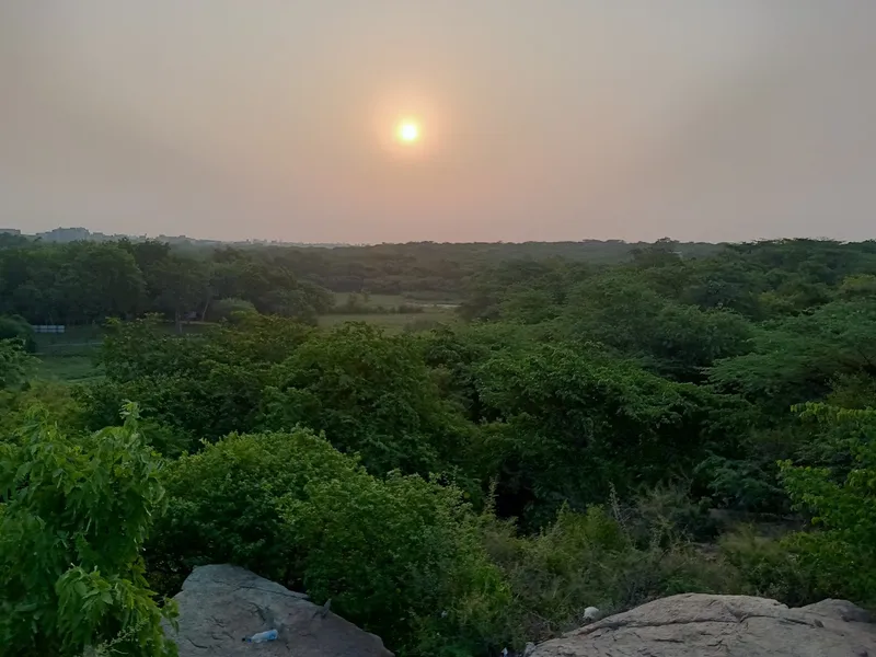 Sanjay Van