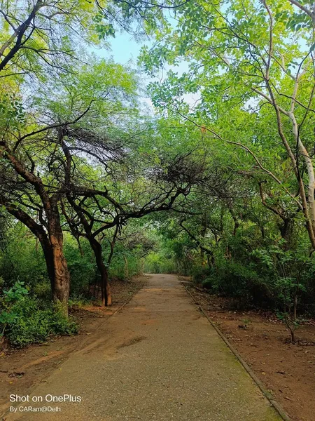 Jahanpanah City Forest