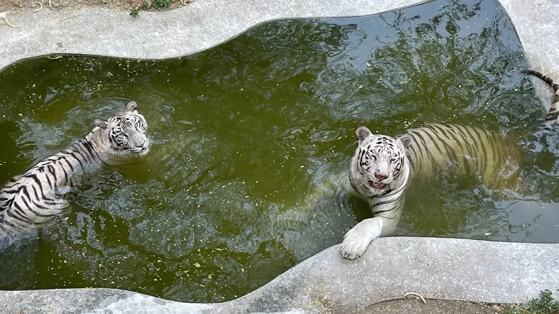 National Zoological Park, New Delhi