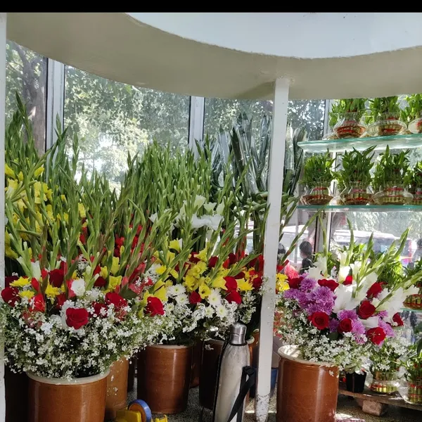 Partap Florist