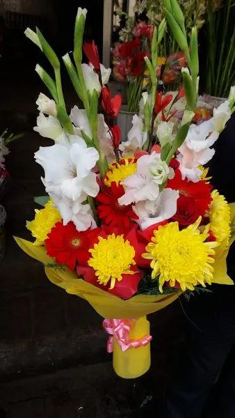 SAINI FLOWERS