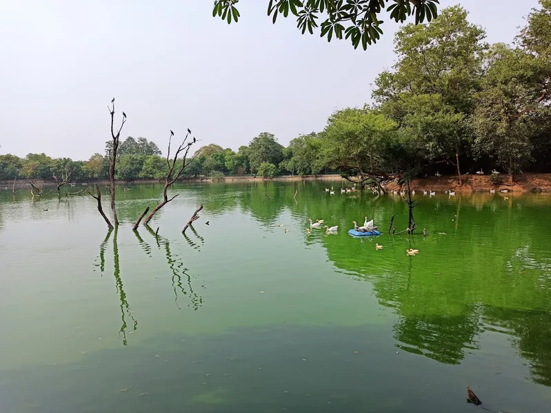 Hauz Khas Lake