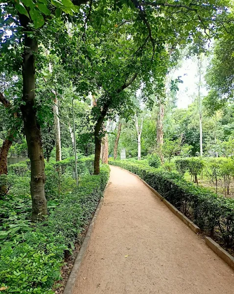 Maa Sarada Park