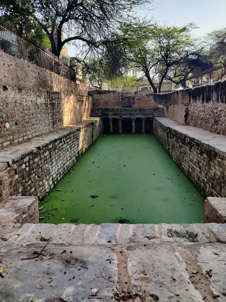 The Gandhak ki Baoli