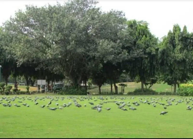 Nehru Park