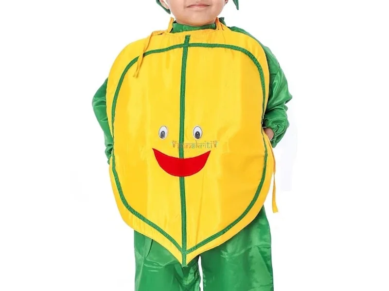 Darshan Dresses