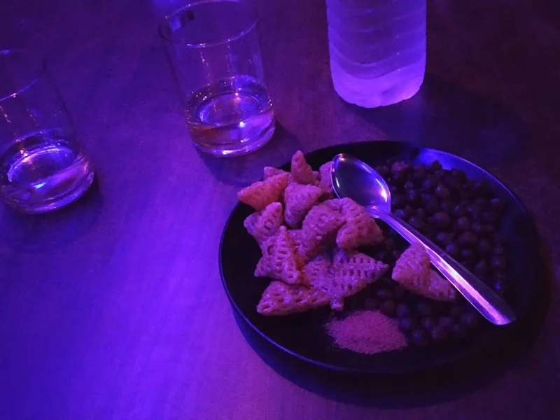 Hotel Vishal and Bar