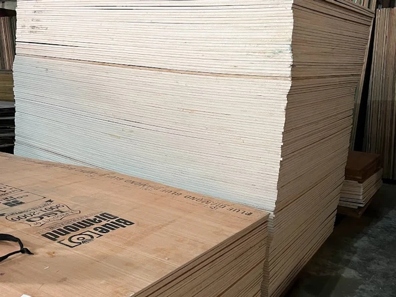 Taneja Glass Store - Hardware/Plywood/Kitchen Hardware/Chimney/Wiremesh Store in Rudrapur