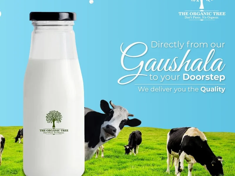 The Organic Tree Store