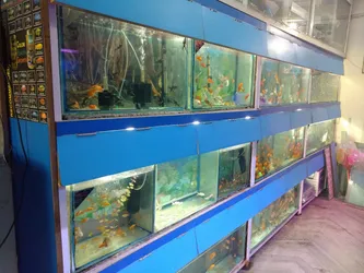 Top 27 aquarium shops in Dehradun