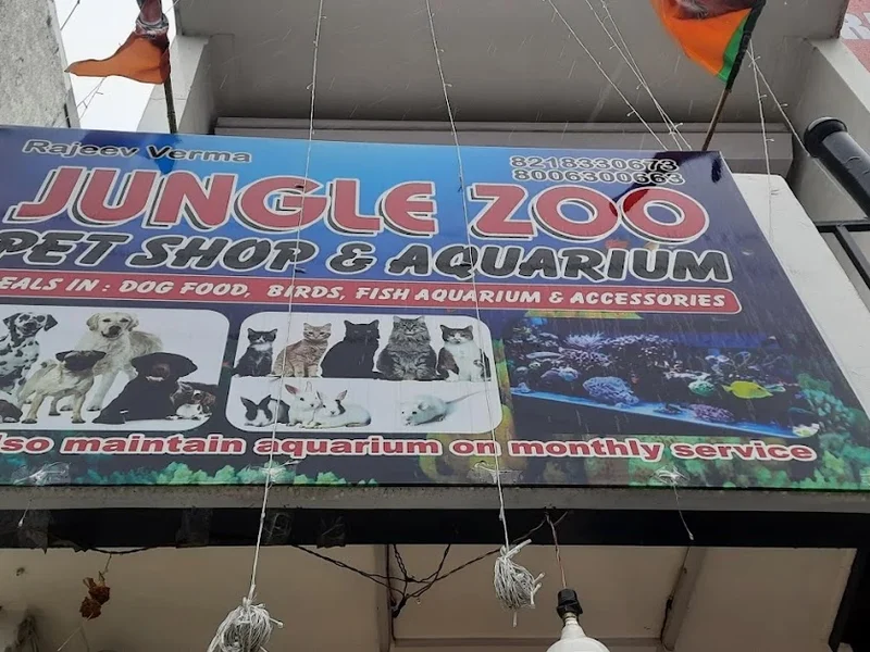 Jungle Zoo Pet Shop & Aquarium