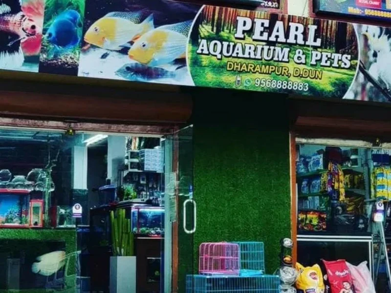 Pearl Aquarium