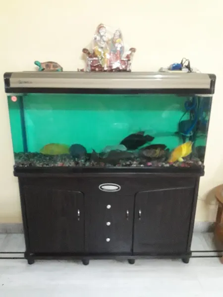 KRISHNA RAJ FISH AQUARIUM