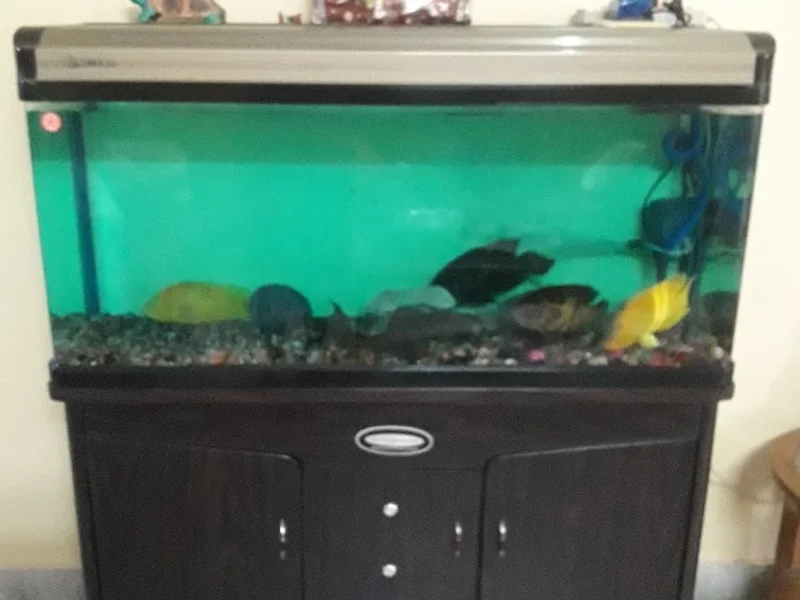 KRISHNA RAJ FISH AQUARIUM