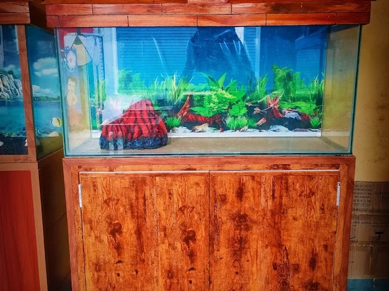 Hariom fish aquarium