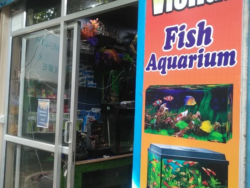 Badri Vishal Fish Aquarium