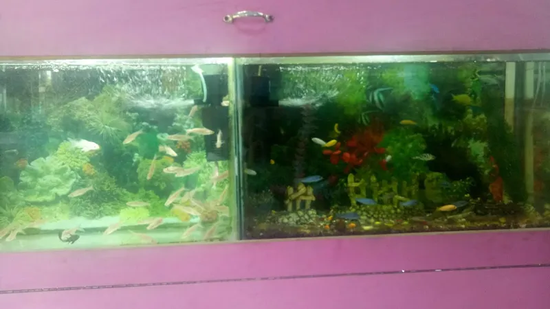 Meher Fish Aquariums