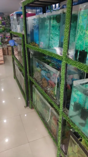 Laxmi Fish & Aquarium