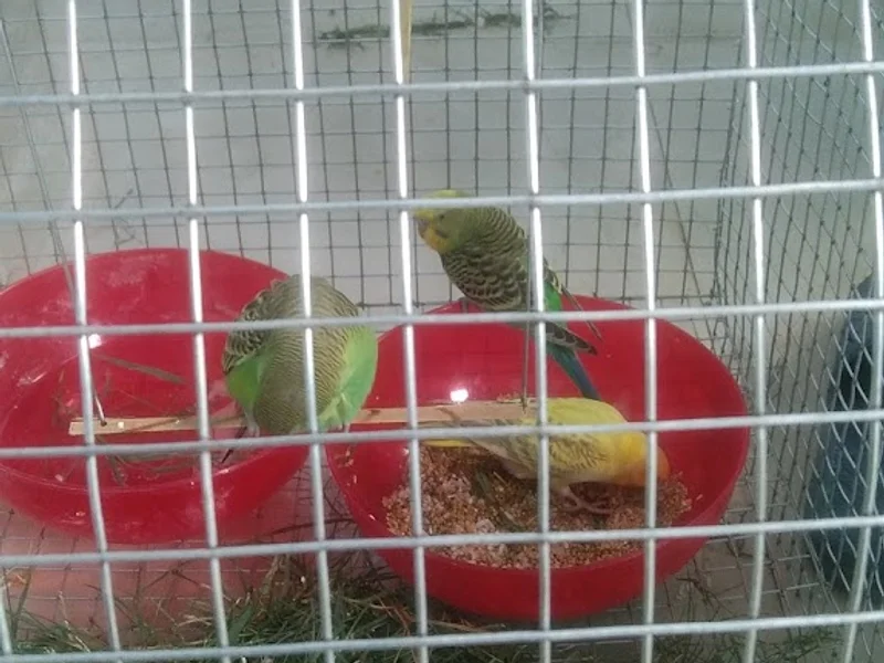 Maa Garjiya Aquarium