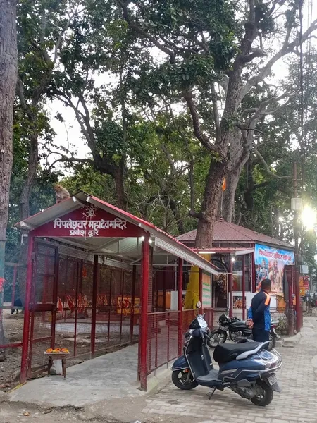 Pipleshwar Mahadev Shiv Mandir