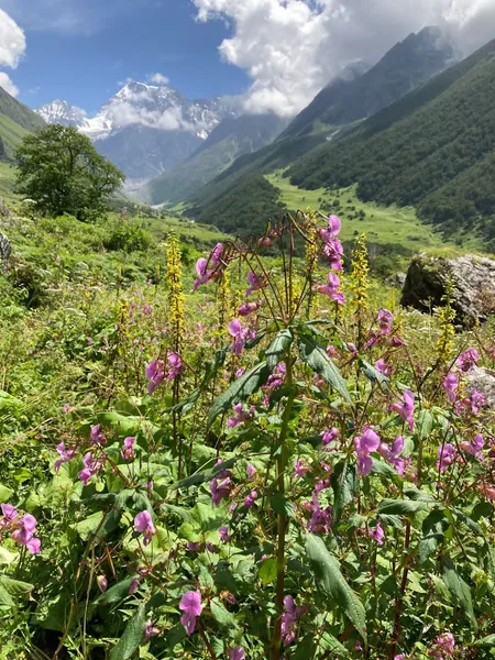 Himalayan Eco Trekkers