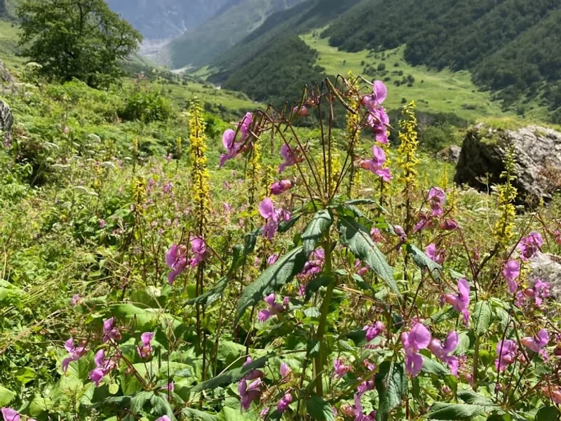 Himalayan Eco Trekkers