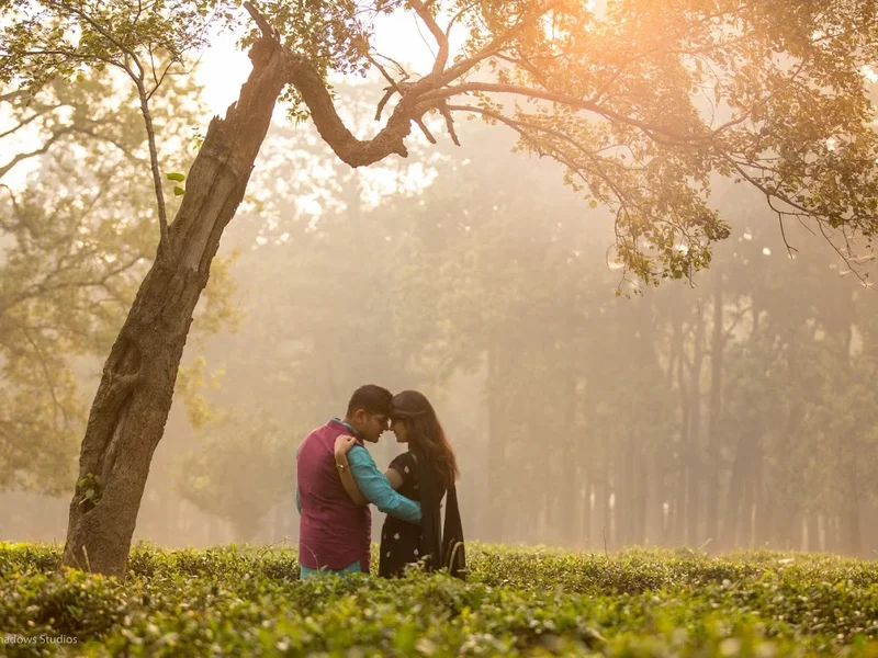 Lights And Shadows Studios