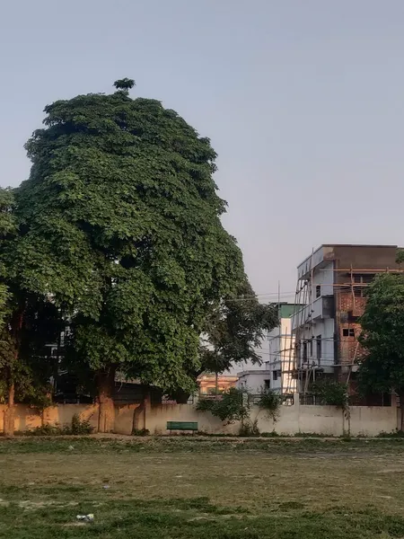 Park vidhya vihar