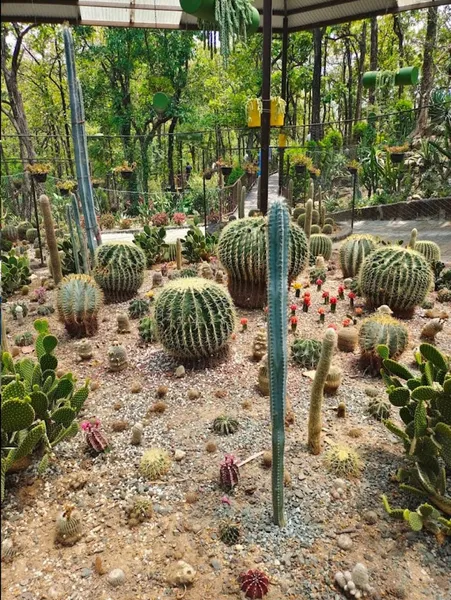 Dehradun Zoo