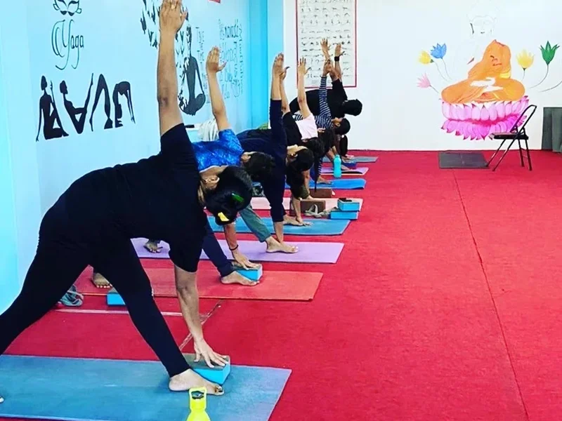 Moksha yoga and panchkarma studio