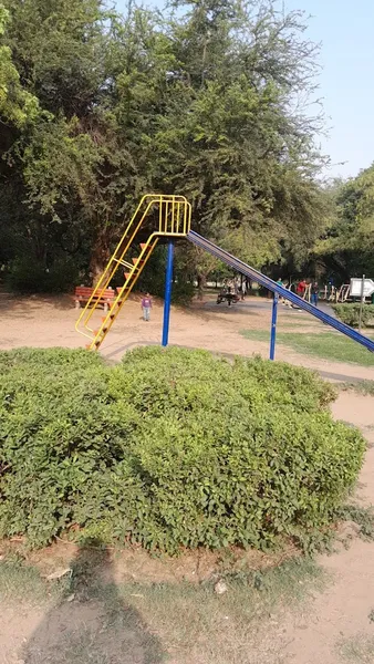 Children Playing Park