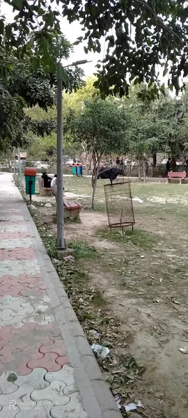 Children Park Mehrauli