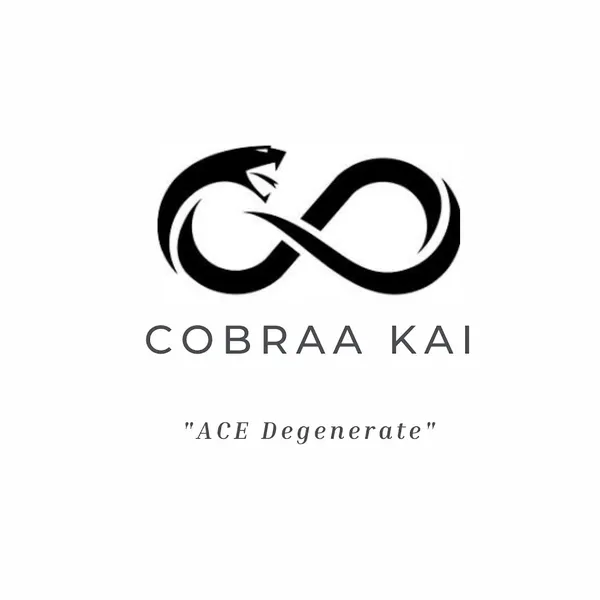 Cobraa Kai - Self Defense Training School