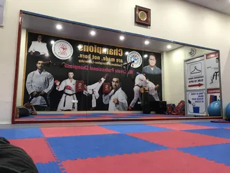 Best of 11 karate classes in Rohini North West Delhi