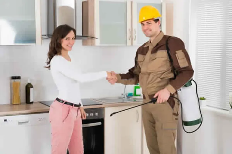 Regular Pest Control - 24X7 Pest Control Delhi NCR