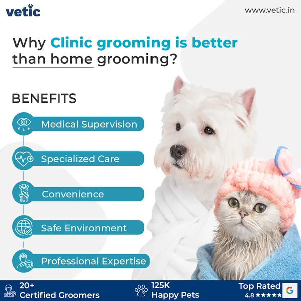 Vetic Pet Care