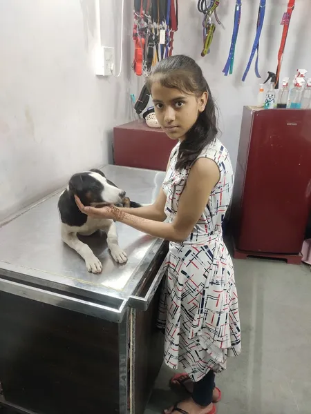 Creative Veterinary Hospital (Pet Clinic )-Shahdara