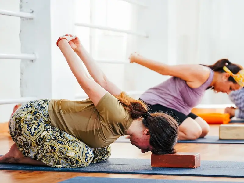 Vinyasa Yogashala - Best Yoga School in Rishikesh India